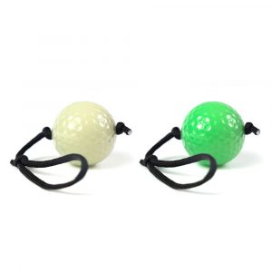 SimpleShot Golf Ball Target